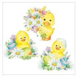 Serwetki kurczaki i kaczka...