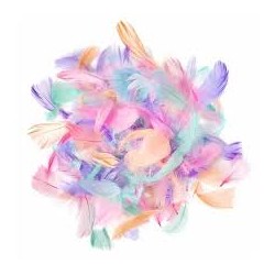 Piórka pastelowe ok. 100szt.